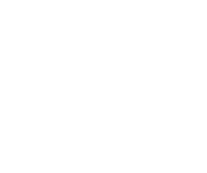 Amstel BSR